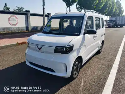 Wuling Motors Zhiguang NEV 2026