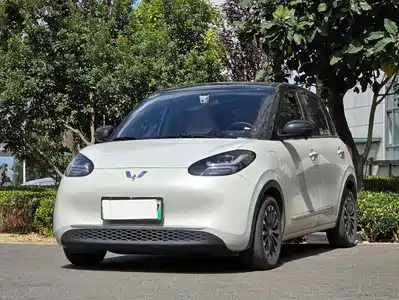 Wuling Motors Bingo 2024