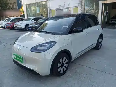 Wuling Motors Bingo 2024