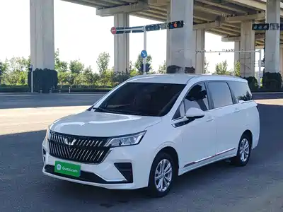 Wuling Motors Jiachen 2025