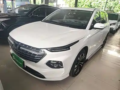 Wuling Motors Victory 2021