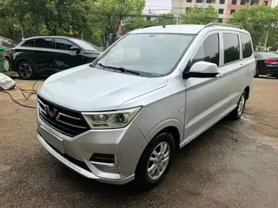 Wuling Motors Hongguang 2019