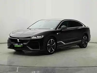 Voyah Auto Zhuiguang 2023