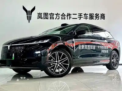 Voyah Auto Zhiyin 2025