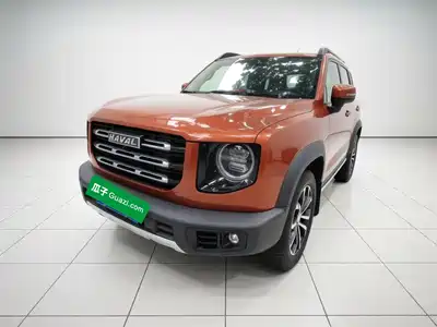 Haval Big Dog 2021