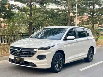 Wuling Motors Victory 2021