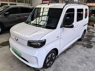 Wuling Motors Zhiguang NEV 2025