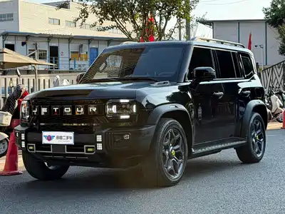 Jetour Shanhai T2 2024