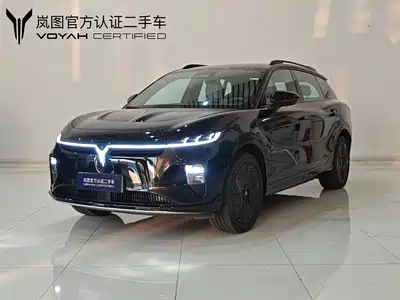Voyah Auto Zhiyin 2024