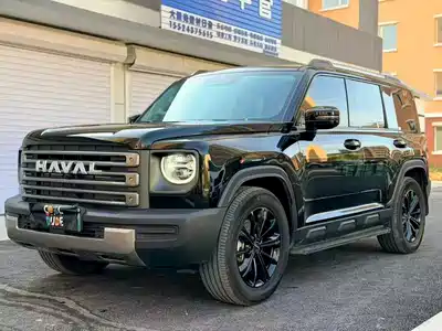 Haval Meng Long NEV 2025