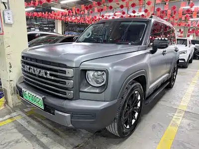 Haval Meng Long NEV 2025