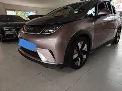 BYD Dolphin 2021