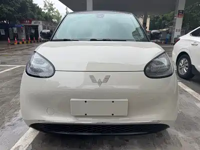 Wuling Motors Bingo 2024