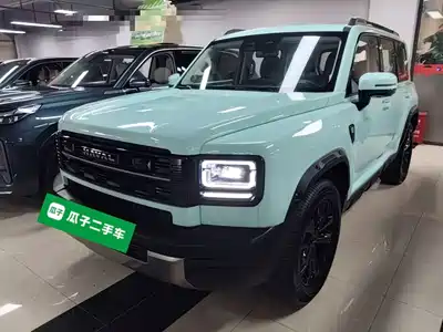 Haval Meng Long NEV 2025