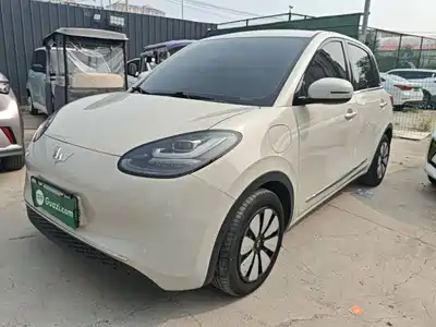 Wuling Motors Bingo 2024