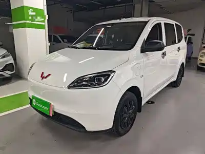 Wuling Motors Hongguang New Energy 2025