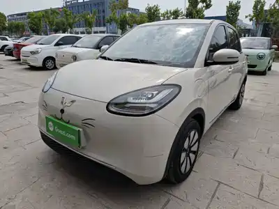 Wuling Motors Bingo 2024