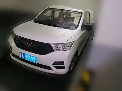 Wuling Motors Hongguang 2024