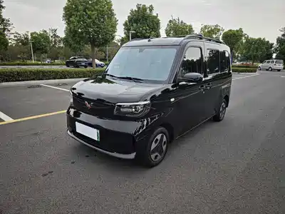 Wuling Motors Zhiguang NEV 2025