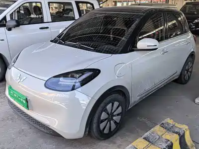 Wuling Motors Bingo 2024