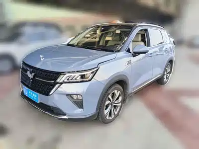 Wuling Motors Xingchen 2021