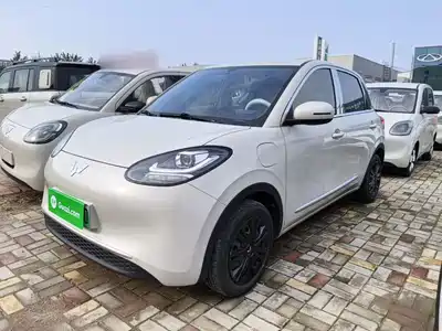 Wuling Motors Bingo 2024