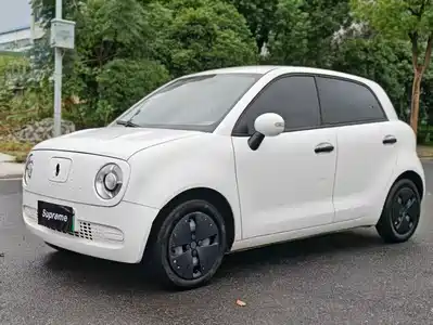 Ora Black Cat 2021