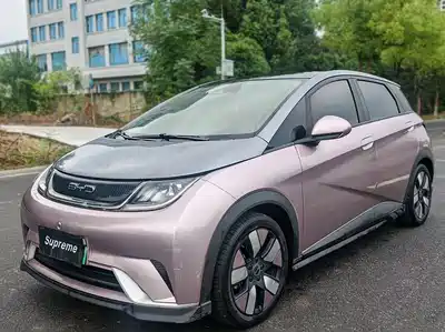 BYD Dolphin 2022