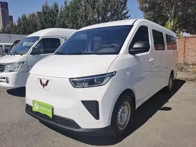 Wuling Motors Yangguang 2025