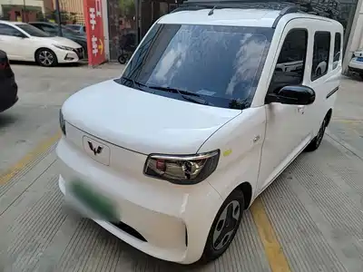 Wuling Motors Zhiguang NEV 2025