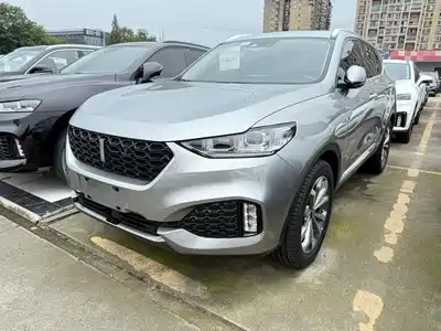 WEY VV6 2019