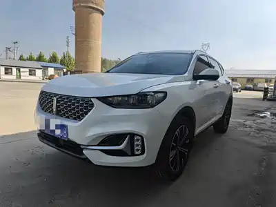 WEY VV6 2021