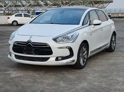 DS 5 2014