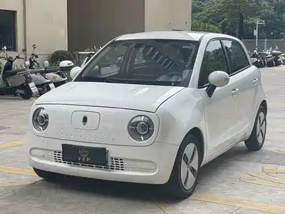 Ora Black Cat 2021