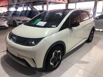 BYD Dolphin 2022