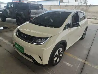 BYD Dolphin 2026