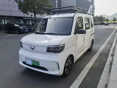Wuling Motors Zhiguang NEV 2025