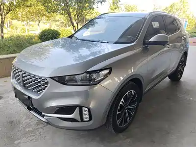 WEY VV6 2021