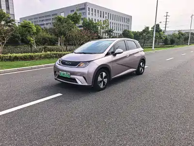 BYD Dolphin 2023