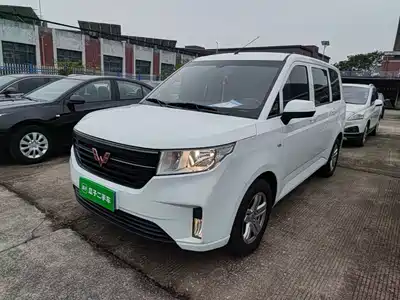 Wuling Motors Hongguang PLUS 2024