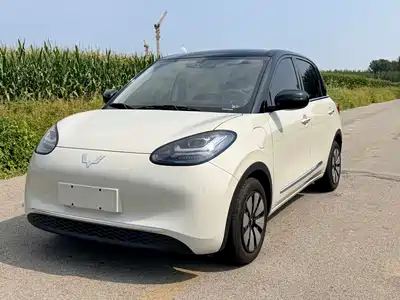 Wuling Motors Bingo 2024