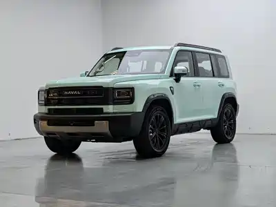 Haval Meng Long NEV 2025