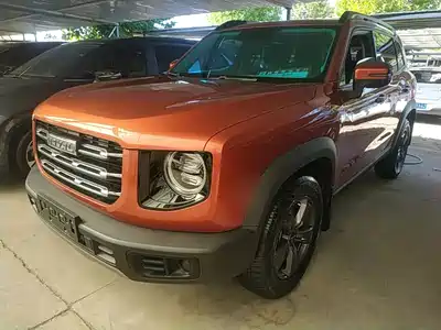 Haval Big Dog 2021