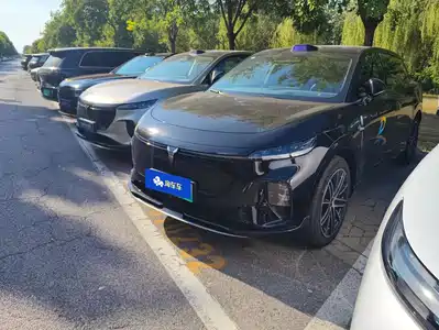 Voyah Auto Zhiyin 2025