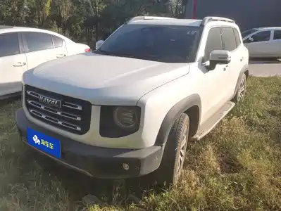 Haval Big Dog 2021