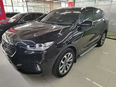 WEY VV6 2019