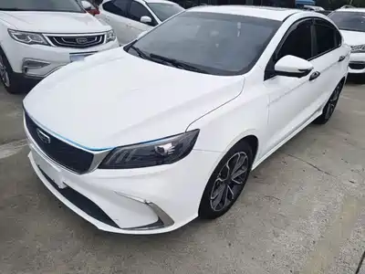 Geely Binrui 2021