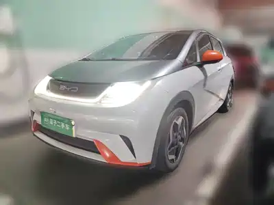 BYD Dolphin 2021
