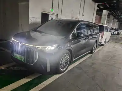 Voyah Auto Dreamer 2024