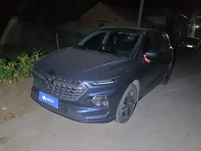 Wuling Motors Victory 2021